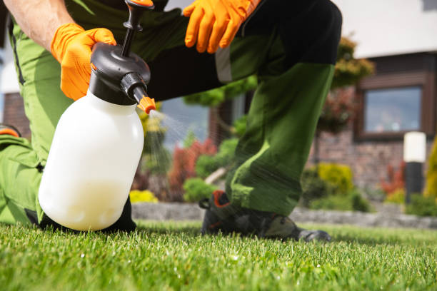 Best Pest Prevention Services  in Hebron, NE