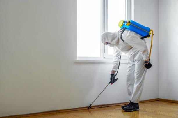 Best Best Pest Control Companies  in Hebron, NE