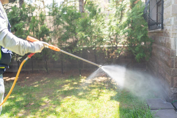 Best Pest Inspection Near Me  in Hebron, NE