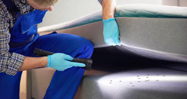 Best Wasp Removal Services  in Hebron, NE