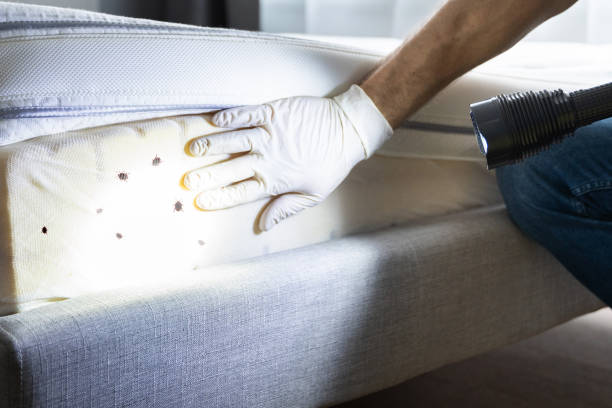 Best Emergency Pest Control  in Hebron, NE