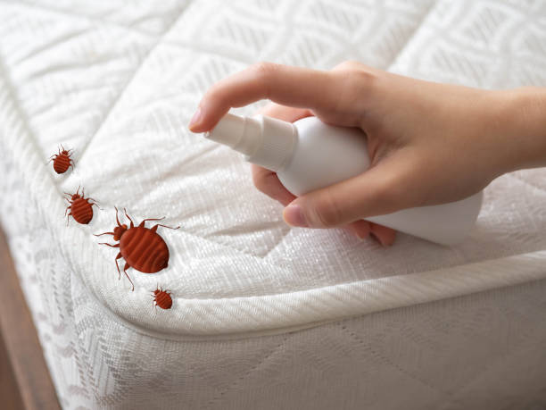 Hebron, NE Pest Control Company