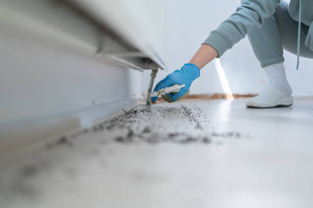 Best Bed Bug Extermination  in Hebron, NE