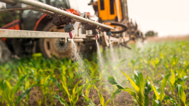 Best Mosquito Control Services  in Hebron, NE